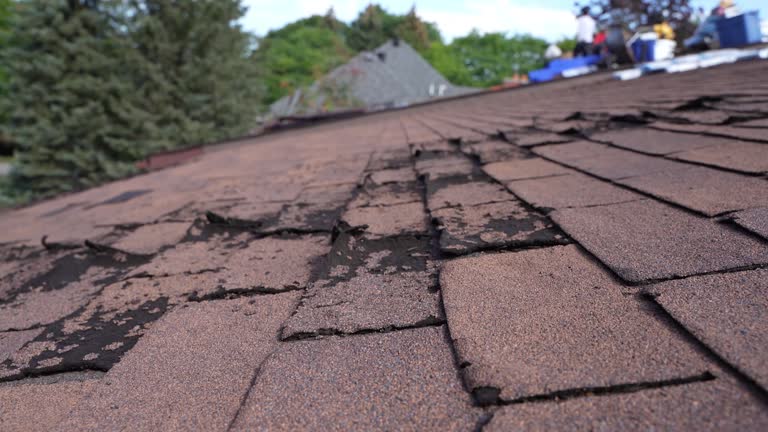 Best Storm Damage Roof Repair  in Langhorne Manor, PA